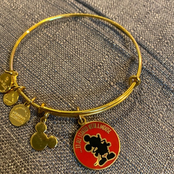 Alex and Ani Disney Bracelet - Picture 4 of 5
